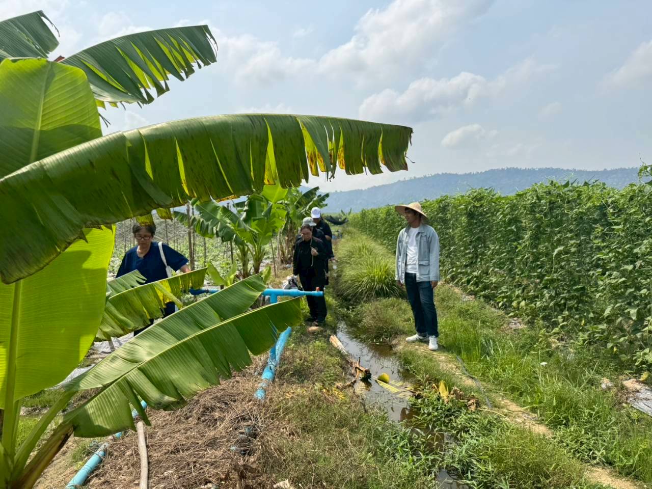title - ส.ป.ก. ร่วมกับ TICA และ GIZ ลงพื้นที่โครงการนำร่องระบบสูบน้ำพลังงานแสงอาทิตย์เพื่อการเกษตรที่ยั่งยืนในเขตปฏิรูปที่ดิน ณ แปลงพื้นที่ คทช. จังหวัดชลบุรี